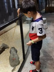 -酷嗒动物文化乐园(cutezoo西溪乐天城店)