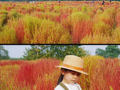 -汉长安城未央宫国家考古遗址公园