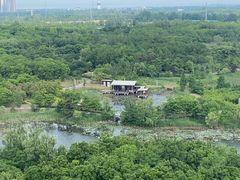 -江苏三台山国家森林公园