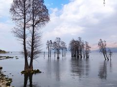 -才村湿地公园