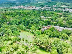 -中国科学院西双版纳热带植物园