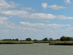 -盐城丹顶鹤湿地生态旅游区