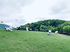 -杭州半山国家森林公园