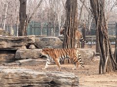 -秦皇岛野生动物园
