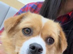 -美联众合动物医院·24h转诊中心