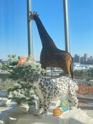 -IMON·HANSA潮玩玩偶毛绒玩具(通州万象汇店)