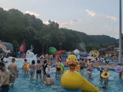 -重庆海昌加勒比海水世界