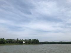 -上海海湾国家森林公园