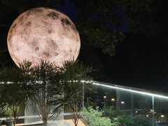 -恬阿姨庭院餐厅·生日宴