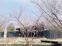 -三里河公园