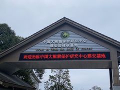 -中国大熊猫保护研究中心雅安碧峰峡基地