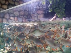 -苏州海洋馆
