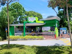 -圣淘沙天际线斜坡滑车