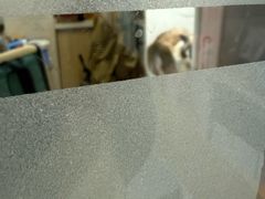 -全心全意连锁动物医院·微创中心·内科急重症·心脏专科(丰管路店)