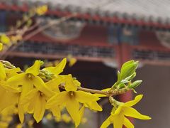 -月坛公园