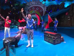 -烟台海昌鲸鲨海洋公园