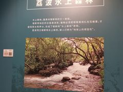 -贵州省地质博物馆