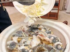 -聚福山莊·寻味顺德(北滘店)