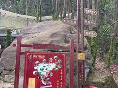 -浏阳石牛寨风景区
