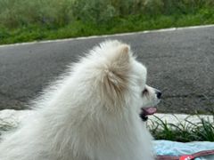 -桤木河湿地公园