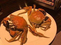 -上海东方佘山翰悦阁酒店·Vie全日制餐厅