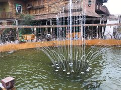 -呀路古热带植物园