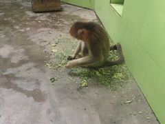 -石家庄市动物园