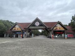 -上海海湾国家森林公园