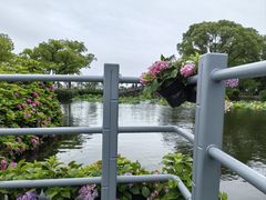 -无锡蠡湖国家湿地公园-蠡园