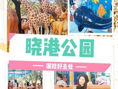 -晓港公园