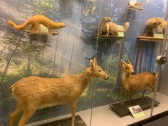 -下渚湖国家湿地公园科普馆