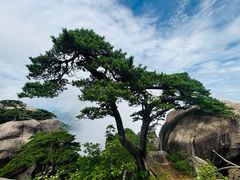-黄山风景区