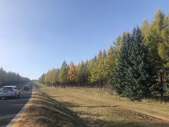 -塞罕坝国家级自然保护区