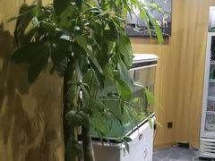 -静茗轩茶楼