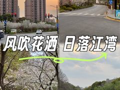-新江湾城公园