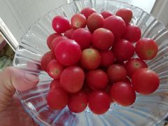 -海底捞火锅(亲子主题北金鹰店)