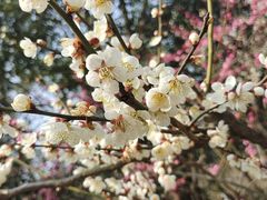 -南山风景名胜区