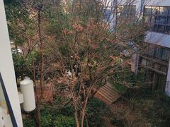 -天目湖御水温泉·度假酒店