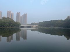 -天鹅湖体育公园