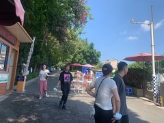 -金鸡山公园