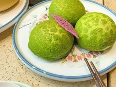 -点都德·毕德寮