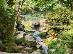 -桃花岭景区