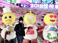 -沈阳奥体冰雪嘉年华
