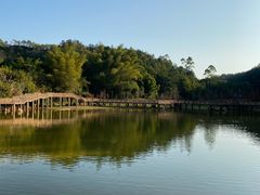 -神光山国家森林公园