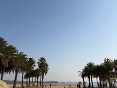 -柳湖沙月沙滩公园