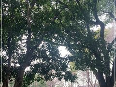 -汇龙潭
