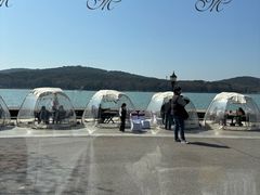 -水上明月·湖景餐厅