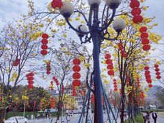 -洲头咀公园