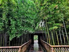 -天一阁博物院
