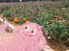 -松山湖梦幻百花洲